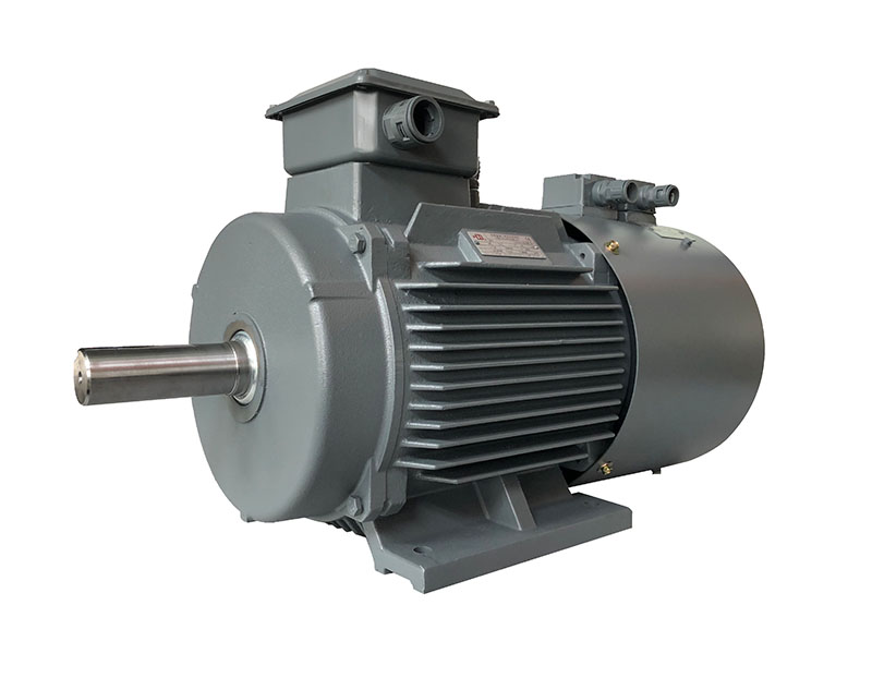 YE3VP系列變頻調(diào)速三相異步電動機(jī)
