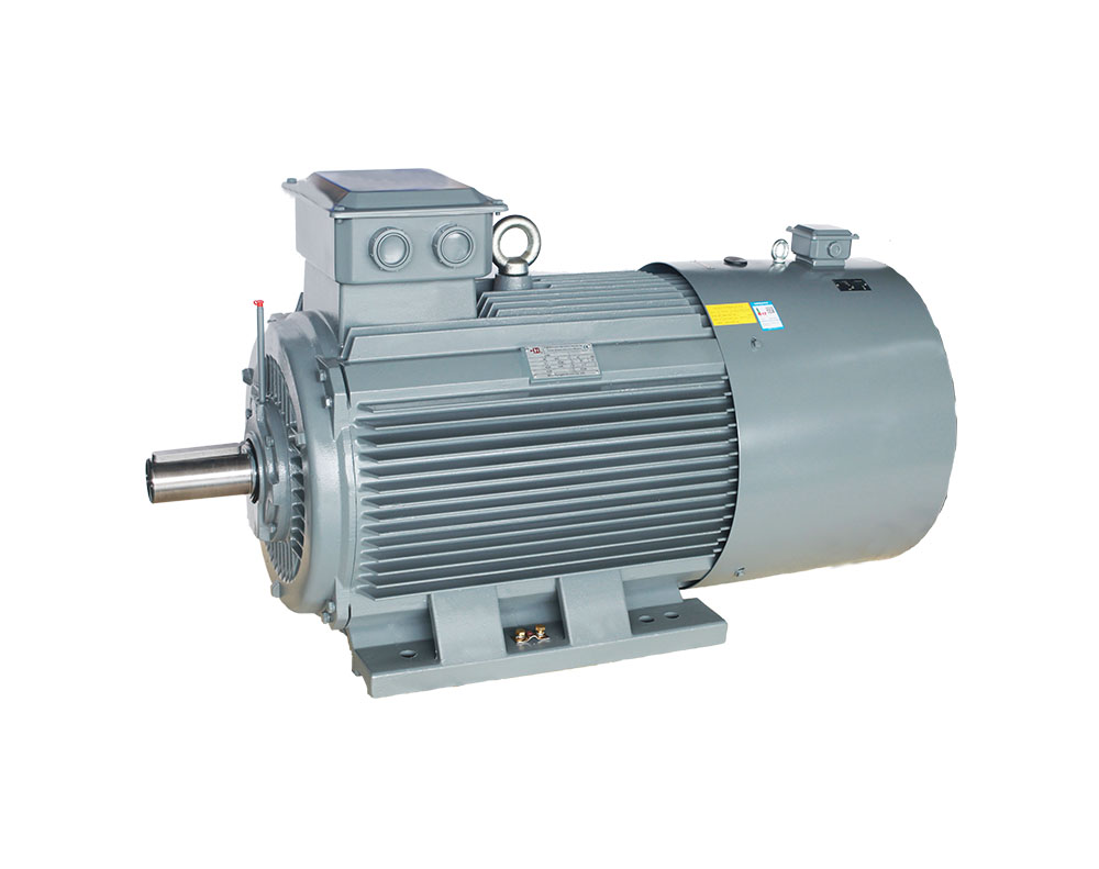 YE5VP系列變頻調(diào)速三相異步電動機(jī)